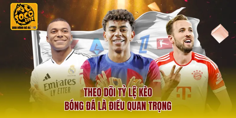 Theo dõi tỷ lệ kèo bóng đá là điều quan trọng