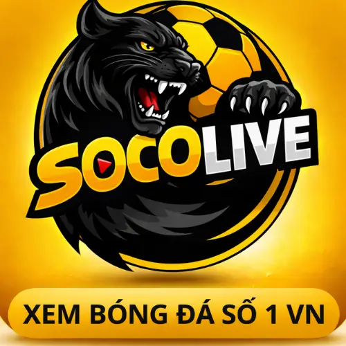 xem bóng đá số 1 vn